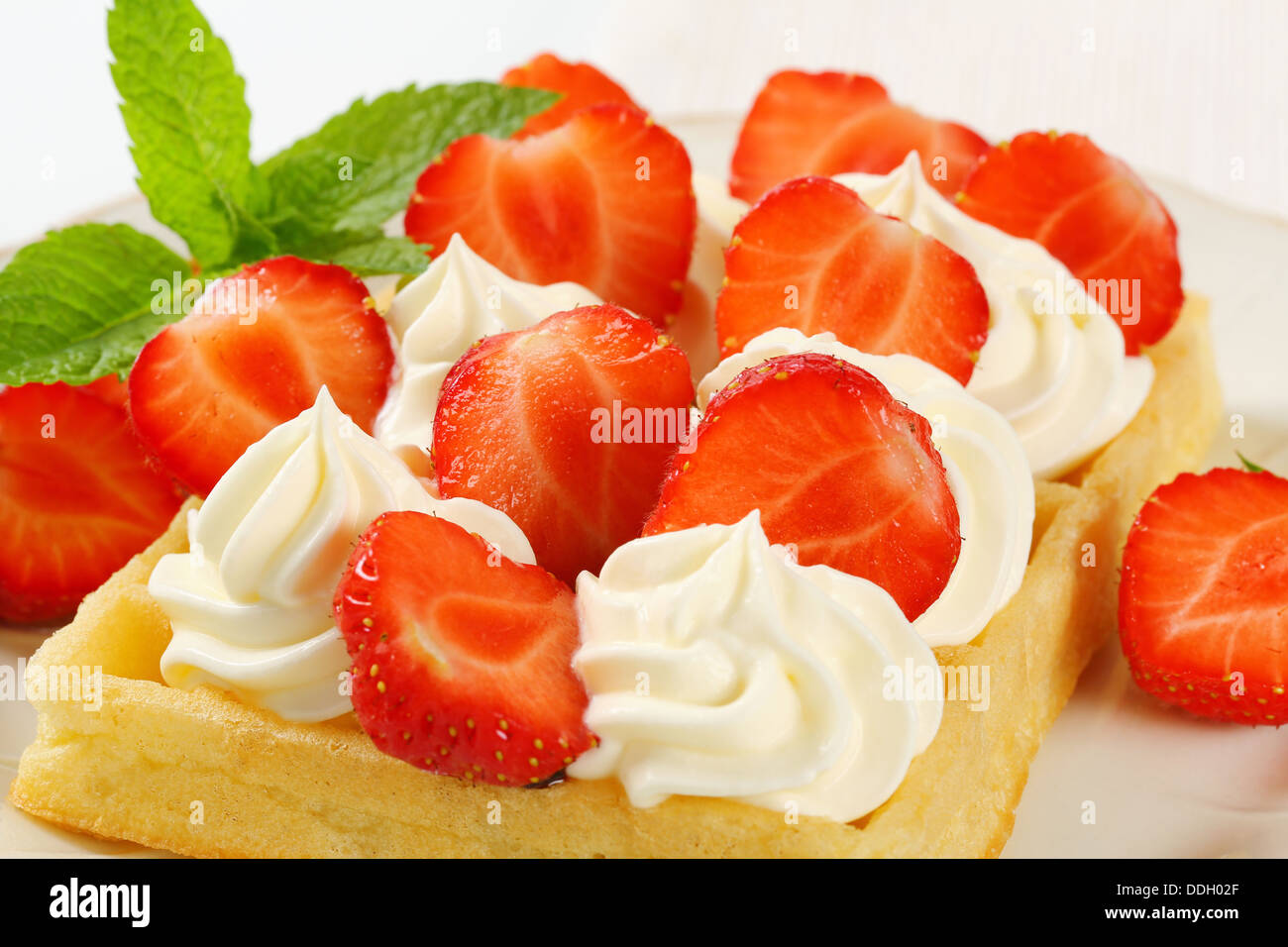 Belgische Waffel mit geschlagener Sahne und frischen Erdbeeren Stockfoto