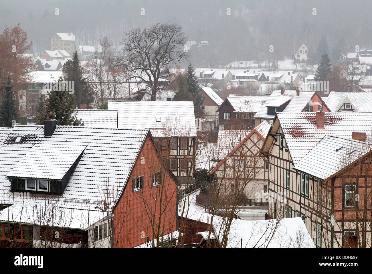 Schneesturm über Ilsenburg, Deutschland Stockfoto