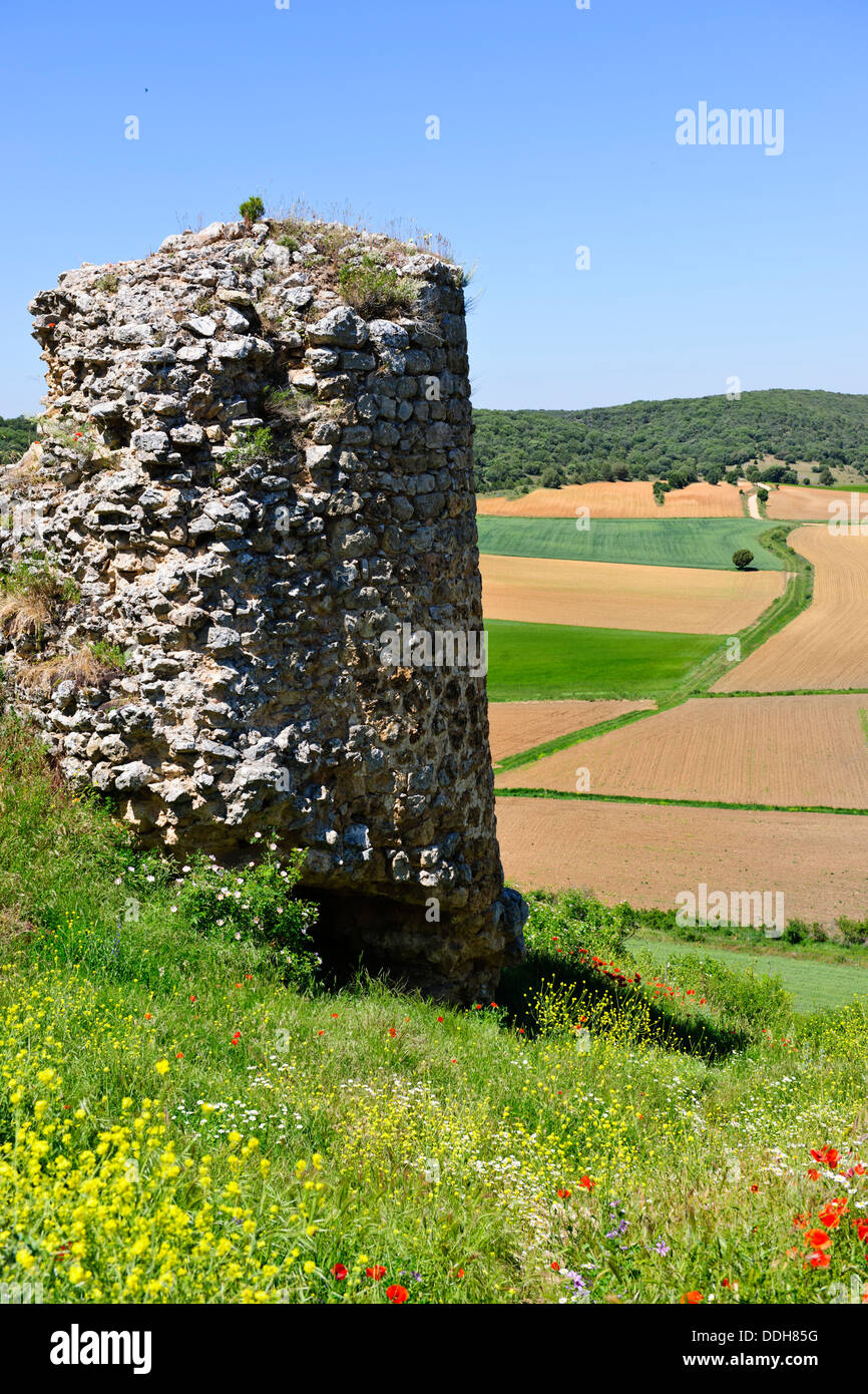 Alte Häuser mit konischen Schornsteine, engen Gassen, Burgruine, umliegende Landschaft mit Schlucht, Calatañazor, Castilla y León, Spanien Stockfoto