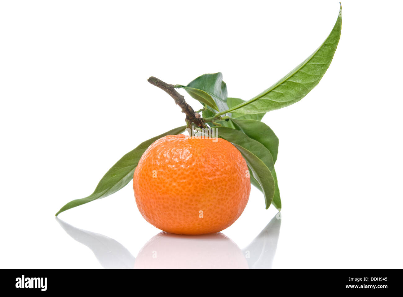 Mandarine mit grünen Blättern, die isoliert auf weiss Stockfoto