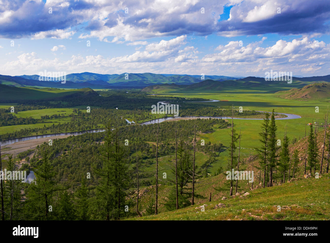 Mongolei, Tov Provinz, Tärelsch Tal Stockfoto