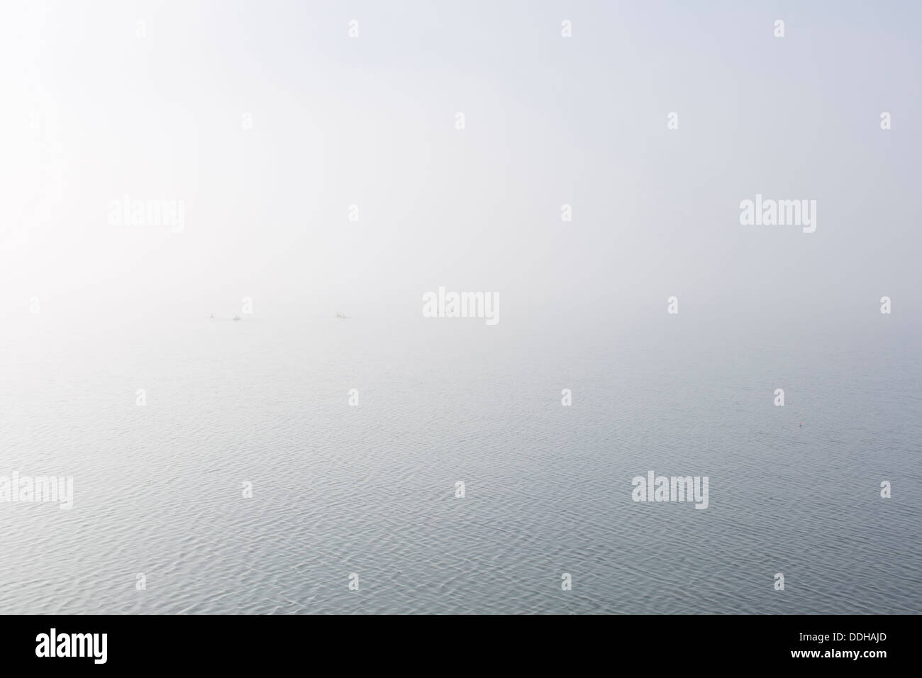 Enten im Morgennebel am See Thingvellir, Island- Stockfoto