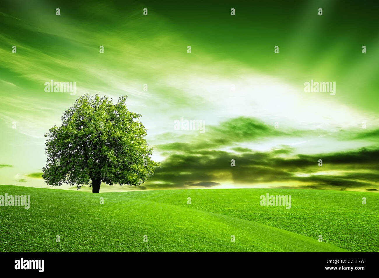 Unsere grünen Planeten Stockfoto