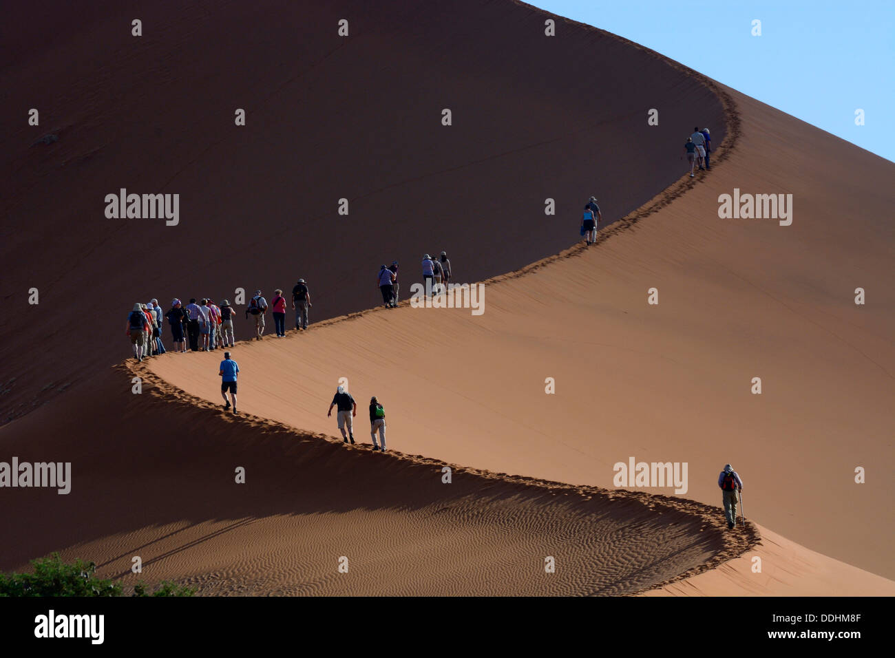 Touristen beim Aufstieg der 'Big Daddy' oder "Crazy Dune" Sanddüne Stockfoto