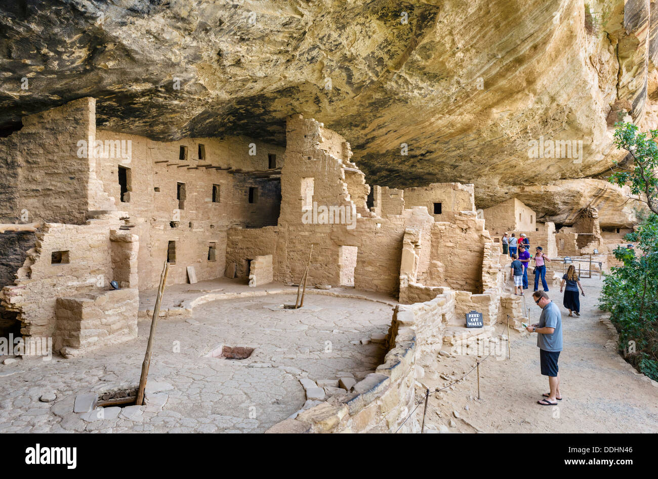 Touristen in den Ruinen des Spruce Tree House, alten Anasazi Pueblo-Wohnungen, Mesa Verde National Park, Cortez, USA. Klippenwohnung. Stockfoto