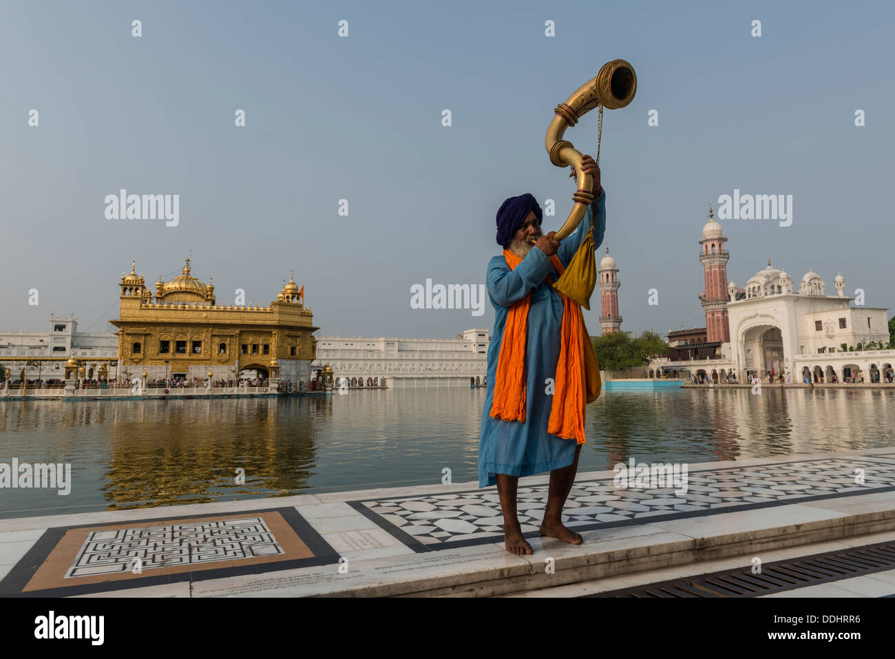Ein Nihang, ein Mitglied einer bewaffneten Sikh Bestellung weht eine große Messing Horn, Harmandir Sahib oder goldenen Tempel auf der Rückseite Stockfoto