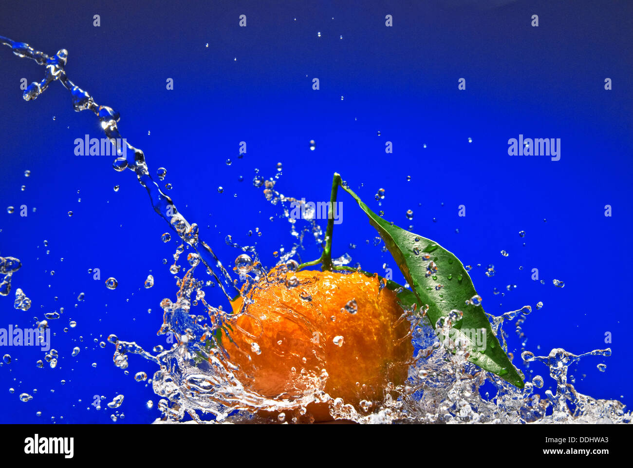 Mandarine mit grünen Blättern und Spritzwasser auf blauem Hintergrund Stockfoto