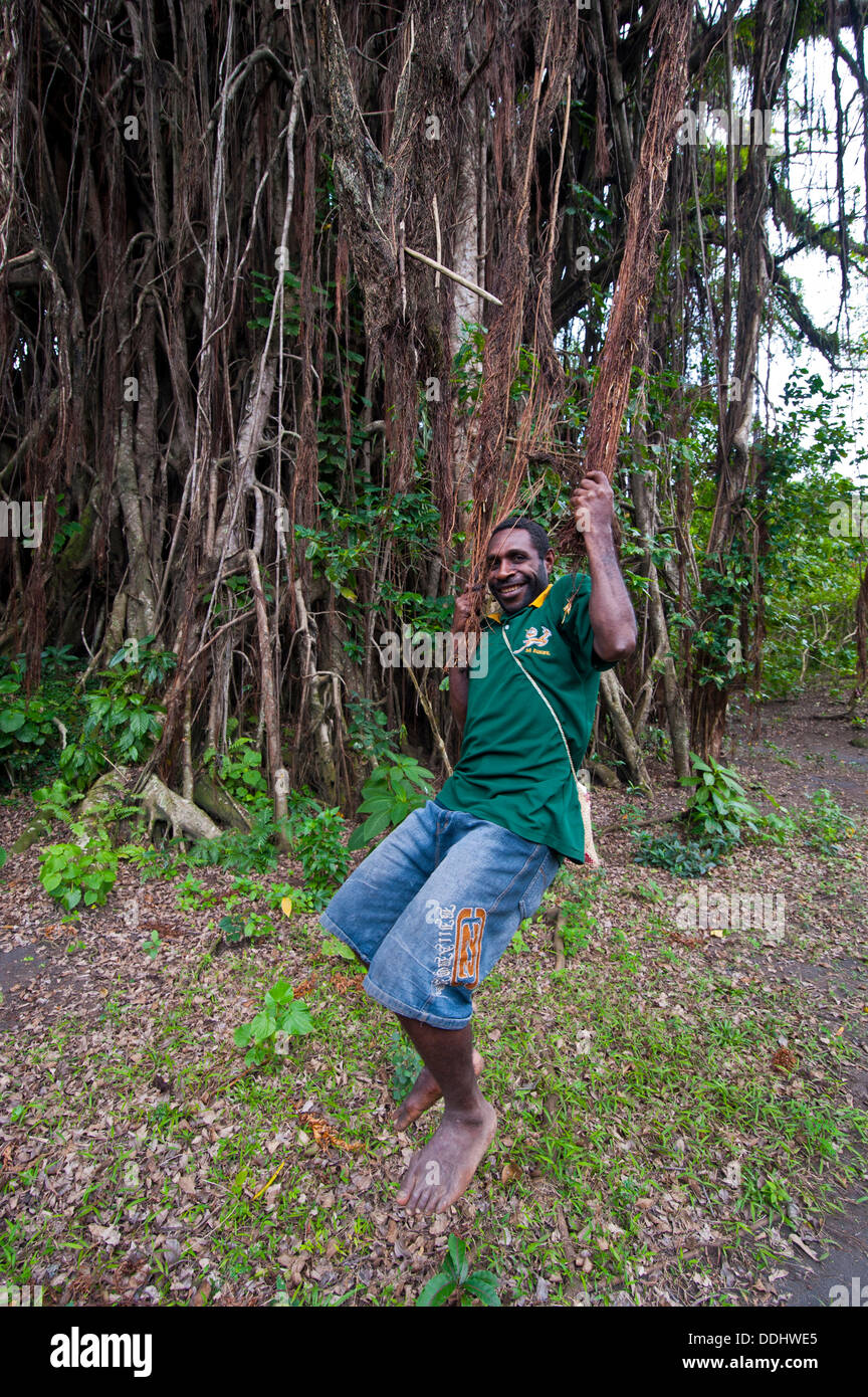Lokale Mensch schwingt in den Wurzeln von einem riesigen Banyan-Baum (Ficus sp.) Stockfoto