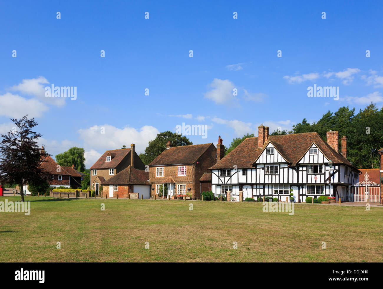 Alte Häuser mit Blick auf den Dorfanger in malerischen Chartham, in der Nähe von Canterbury, Kent, England, UK, Großbritannien Stockfoto