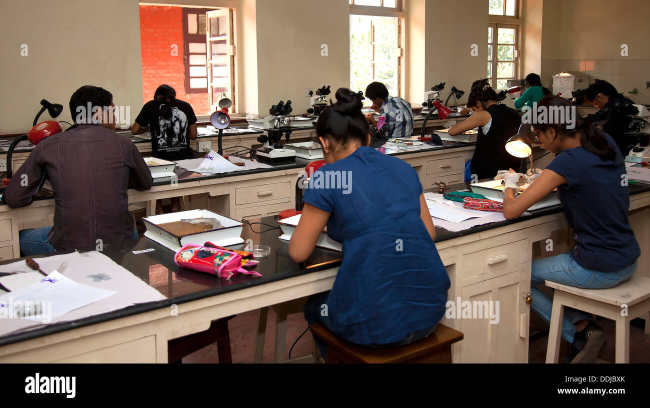 Examination Hall Stockfoto