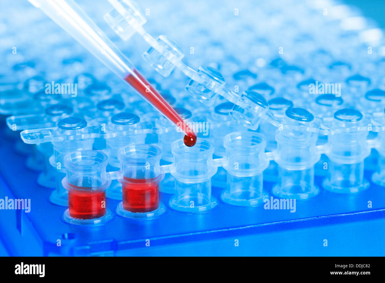 Pipette Blutproben und Kunststoff-Tablett Stockfoto