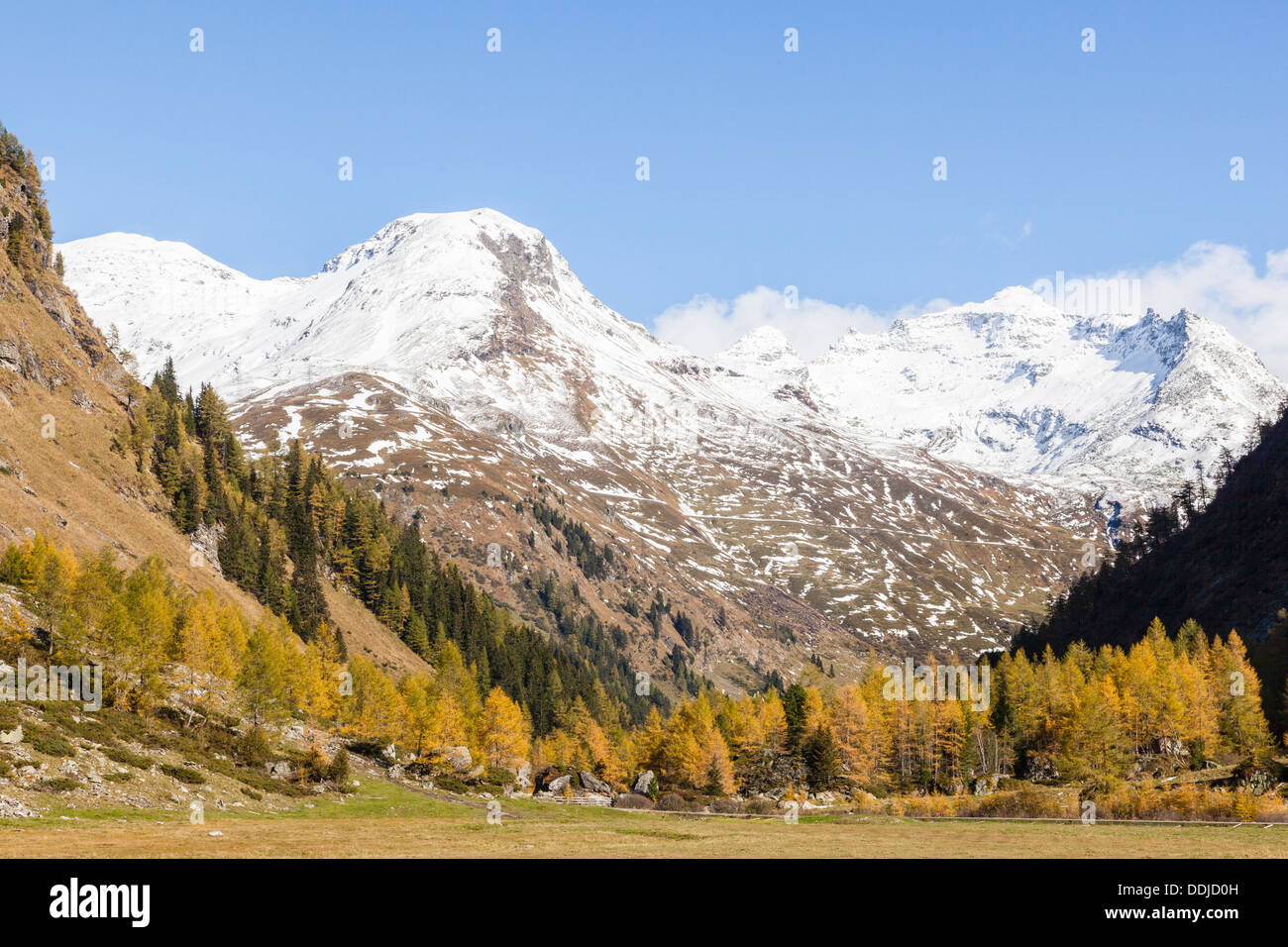 Herbst Farben ein Alp-Tal Stockfoto