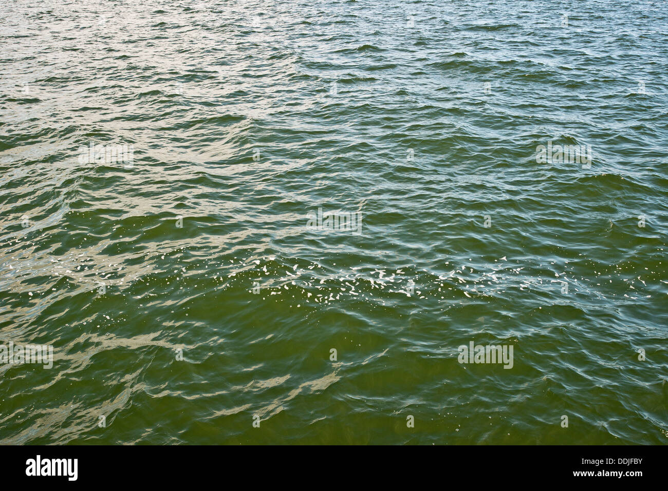 grünes Wasser Hintergrund. glänzende Oberfläche Stockfoto