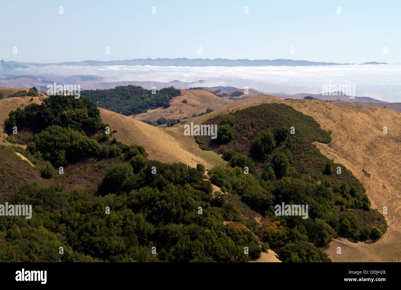 Niedriger liegende Nebelbank gesehen von RTE 46 nahe Paso Robles, California Stockfoto