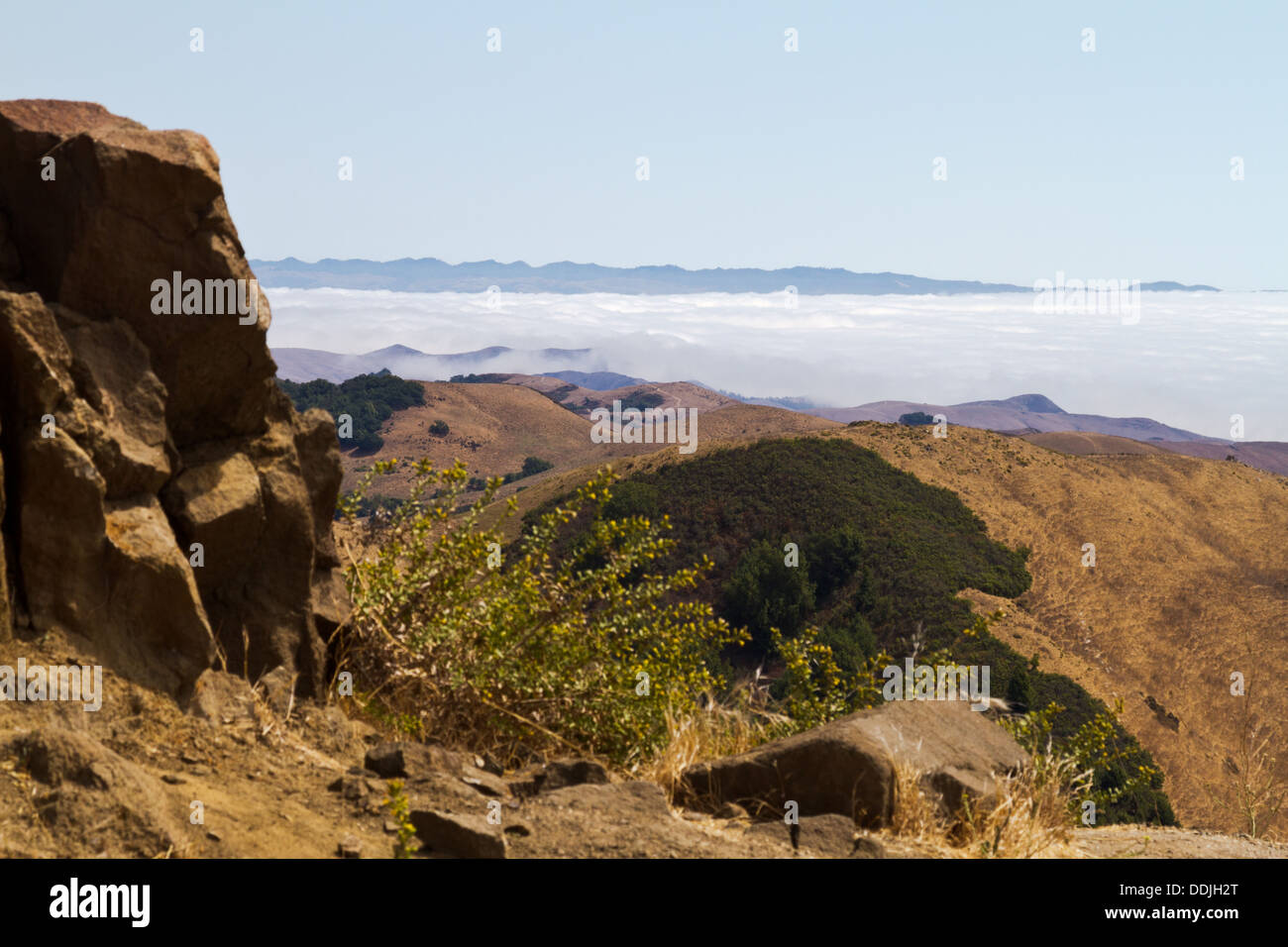 Niedriger liegende Nebelbank gesehen von RTE 46 nahe Paso Robles, California Stockfoto