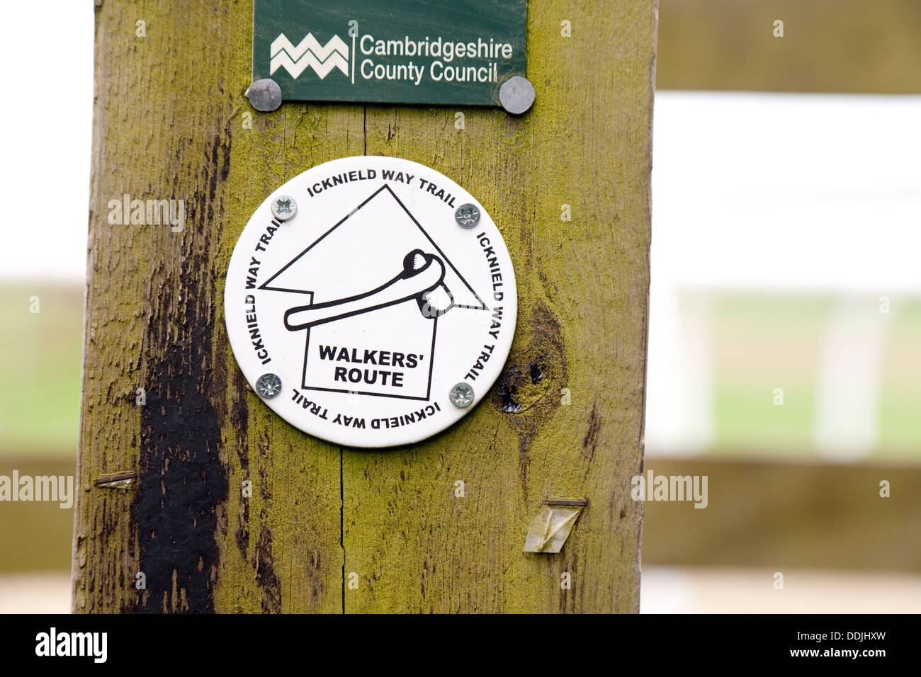 Icknield Way Trail Wanderweg melden Sie auf einem Pfosten, Dullingham, Cambridgeshire UK Stockfoto