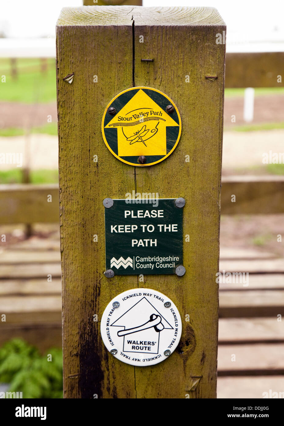 Route Wanderweg Zeichen auf einen Beitrag der Icknield Way Trail und Stour Valley Weg, Dullingham, Cambridgeshire UK Stockfoto