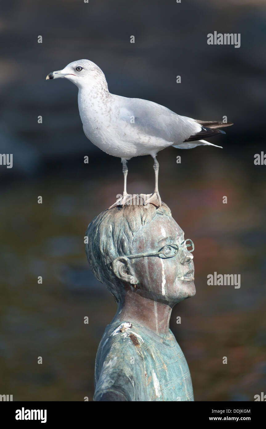 Vögel sitzen auf den Kopf einer Statue. Stockfoto