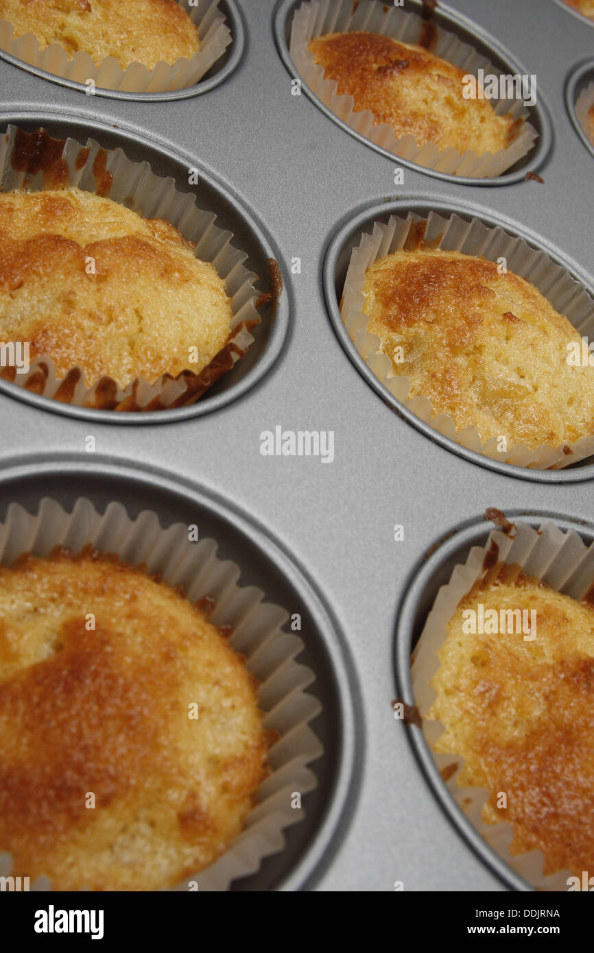 Pfirsich Muffins in Muffinblech Stockfoto
