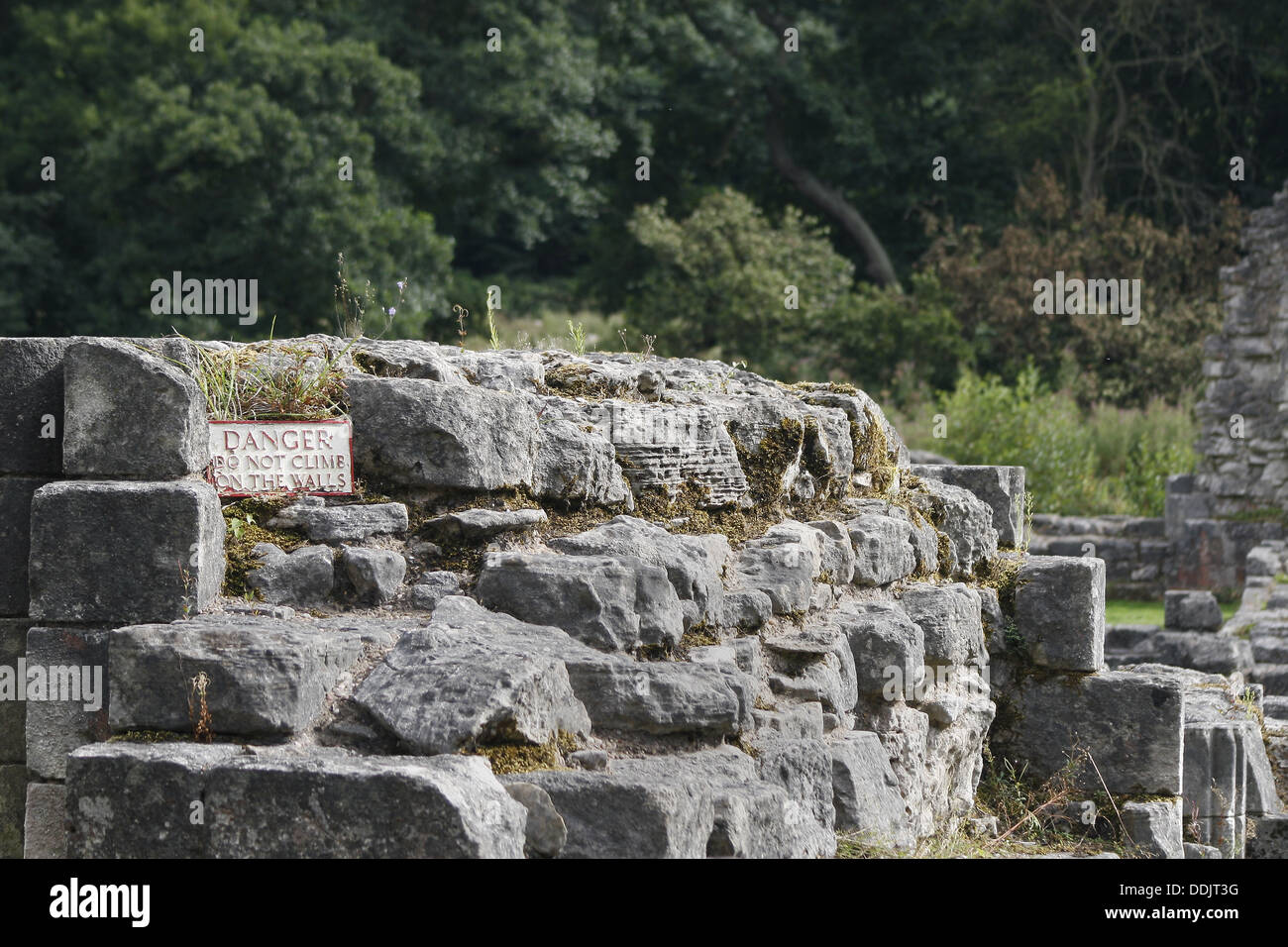 eingestürzte Mauern bei Roche Abbey, Maltby, Rotherham, South Yorkshire Stockfoto