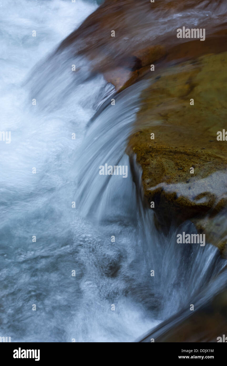 Ohanapecosh River, Mount Rainier Nationalpark, Washington, USA Stockfoto