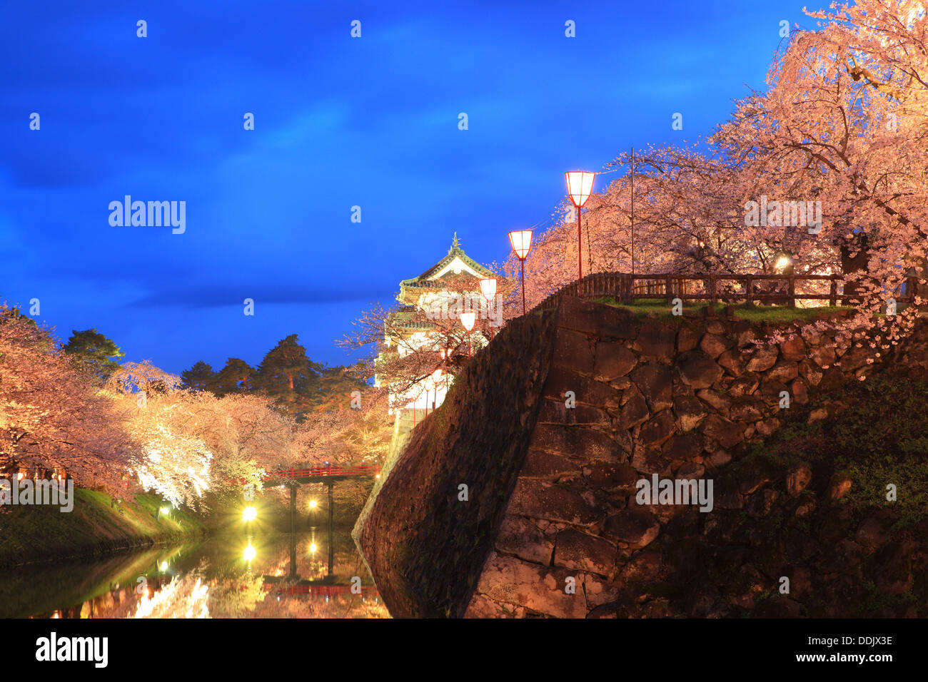 Leuchten von Hirosaki Schloss und Kirschblüten, Aomori, Japan Stockfoto