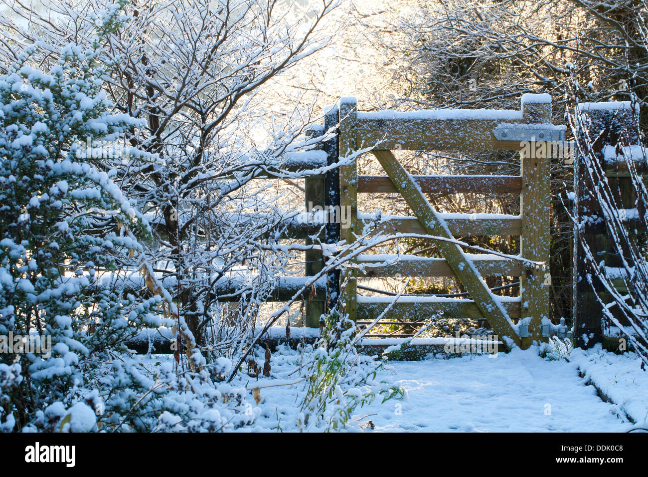 Tor in einem Garten im Winter nach einem Sturz von Schnee. Powys, Wales. Januar. Stockfoto