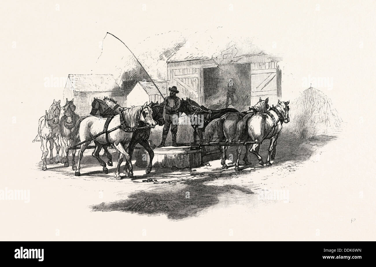 DRESCHEN VON HORSE POWER, KANADA, 19. JAHRHUNDERT GRAVUR Stockfoto