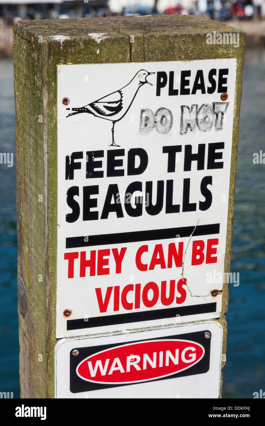 England, Cornwall, Looe, Seagull Menance Bewusstsein Zeichen Stockfoto