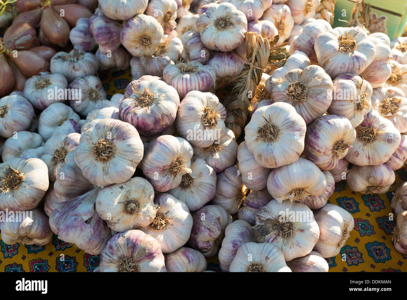 Knoblauch auf den Mittwoch-Markt in Saint-Rémy-de-Provence, Frankreich Stockfoto