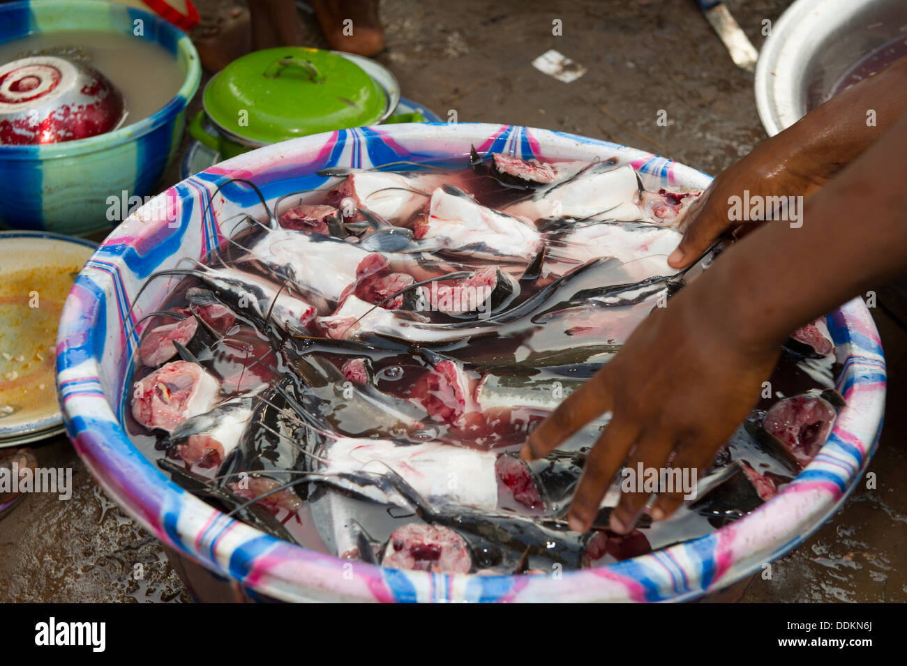 Stücke von rohen Katze Fisch gewaschen in einem Becken in Nigeria Stockfoto