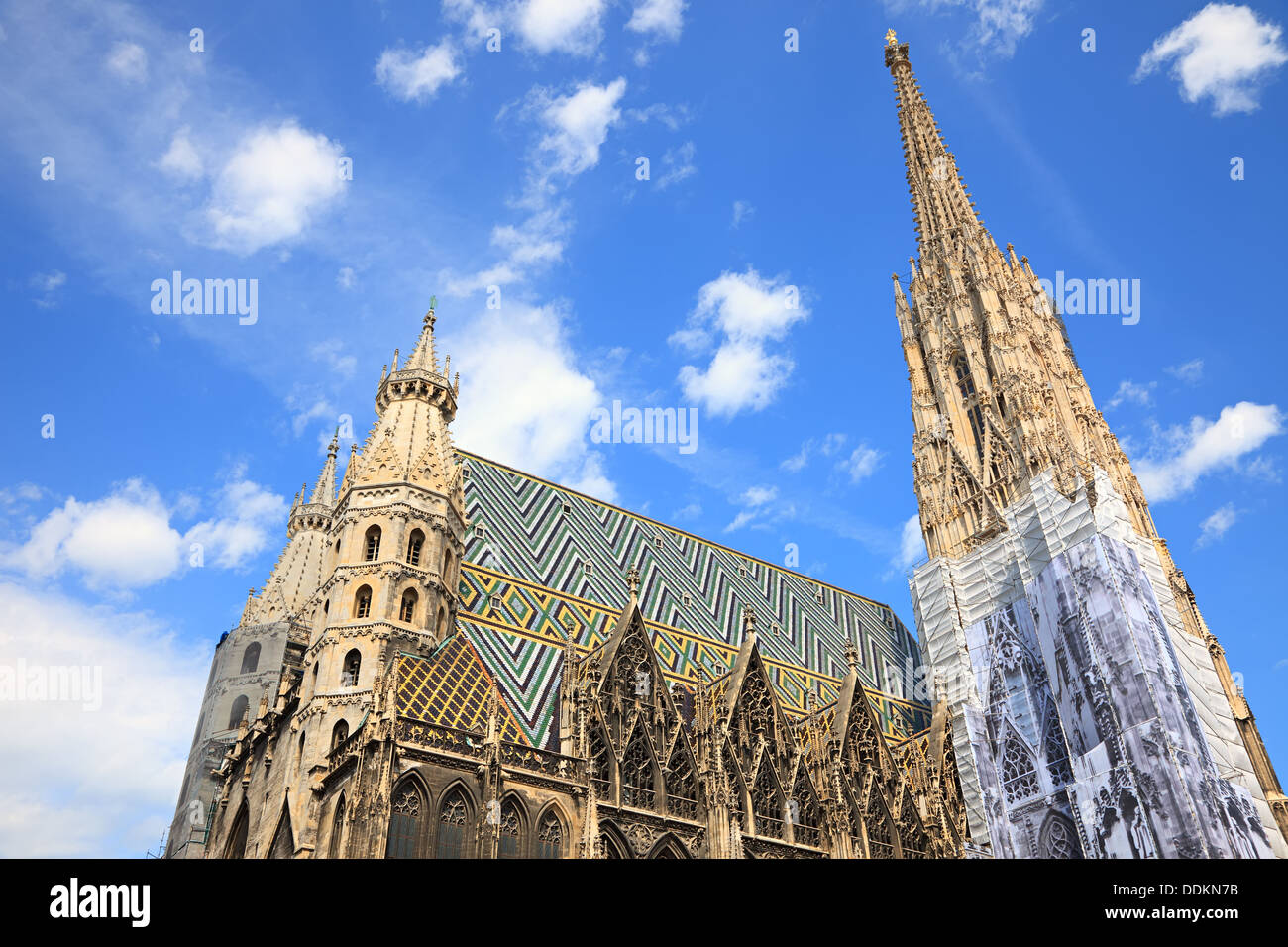 Stephansdom in Wien Stockfoto