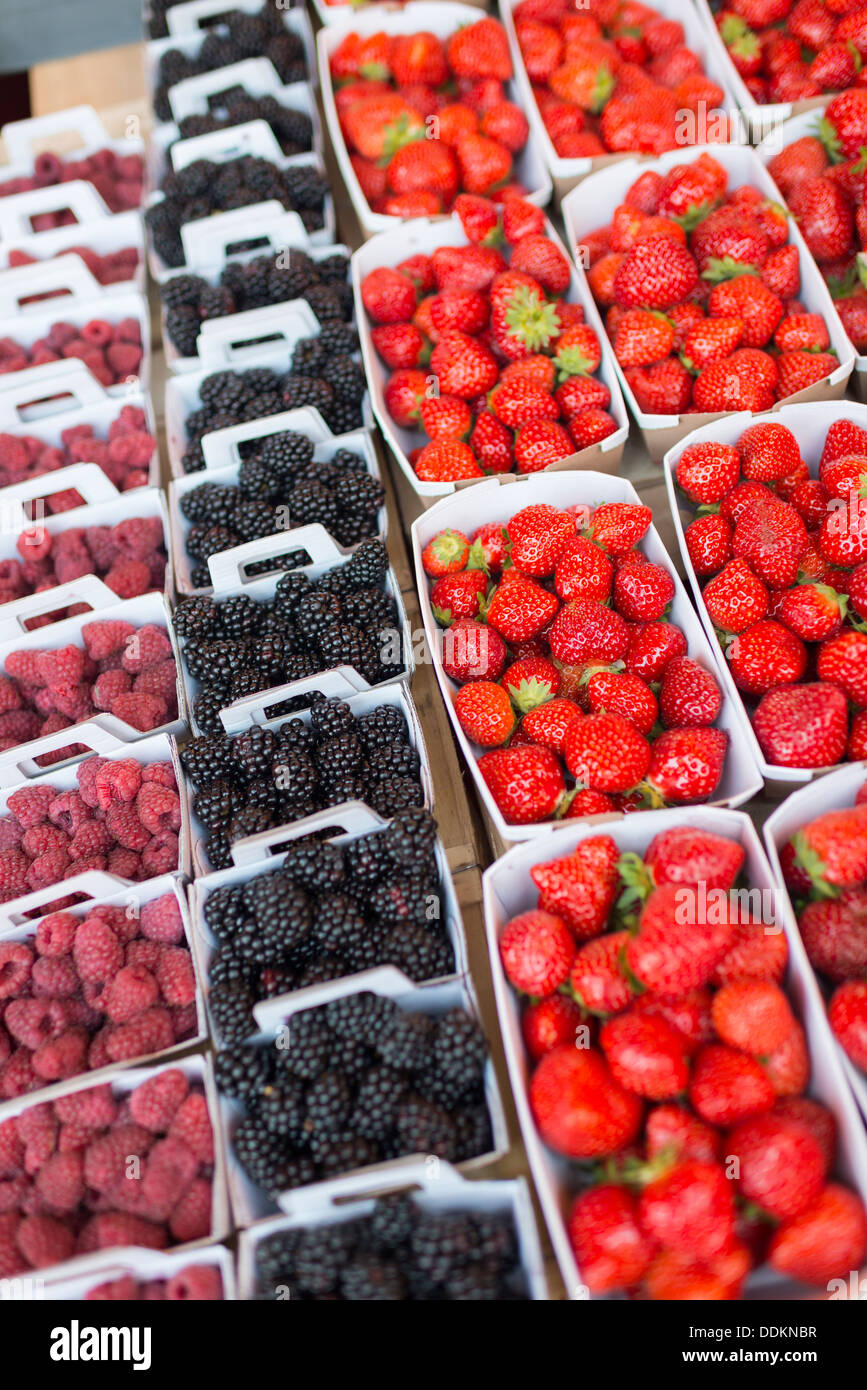 Sommerfrüchte auf den Mittwoch-Markt in Saint-Rémy-de-Provence, Frankreich Stockfoto