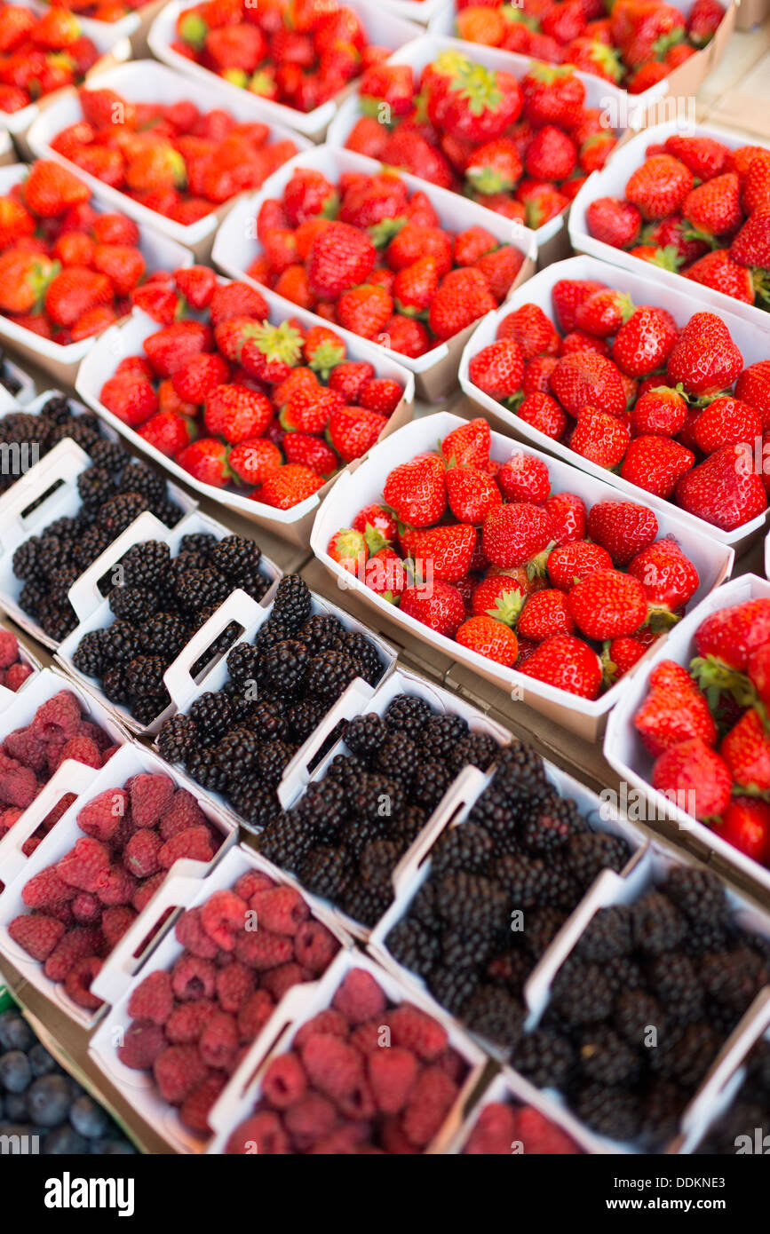Sommerfrüchte auf den Mittwoch-Markt in Saint-Rémy-de-Provence, Frankreich Stockfoto