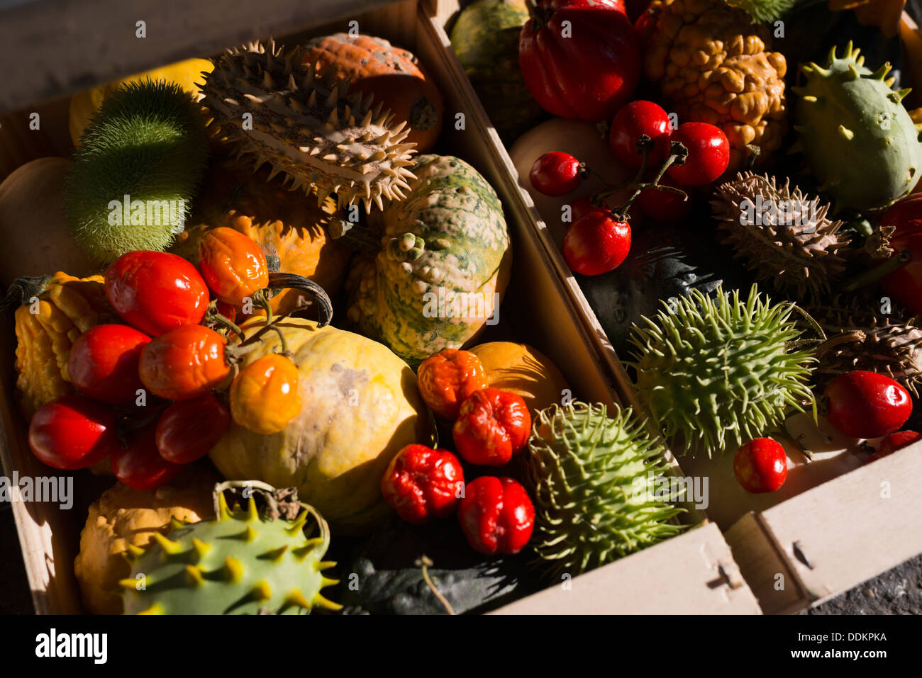 Exotische Früchte auf den Mittwoch-Markt in Saint-Rémy-de-Provence, Frankreich Stockfoto