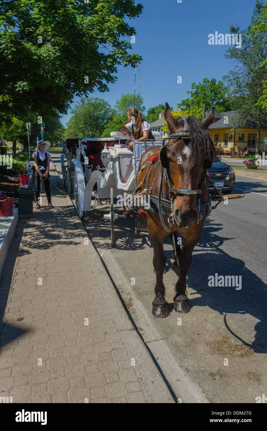Ein Pferd und Buggy-Tour Operator wartet auf Touristen in historischen Niagara-on-the-Lake, Ontario, Kanada. Stockfoto