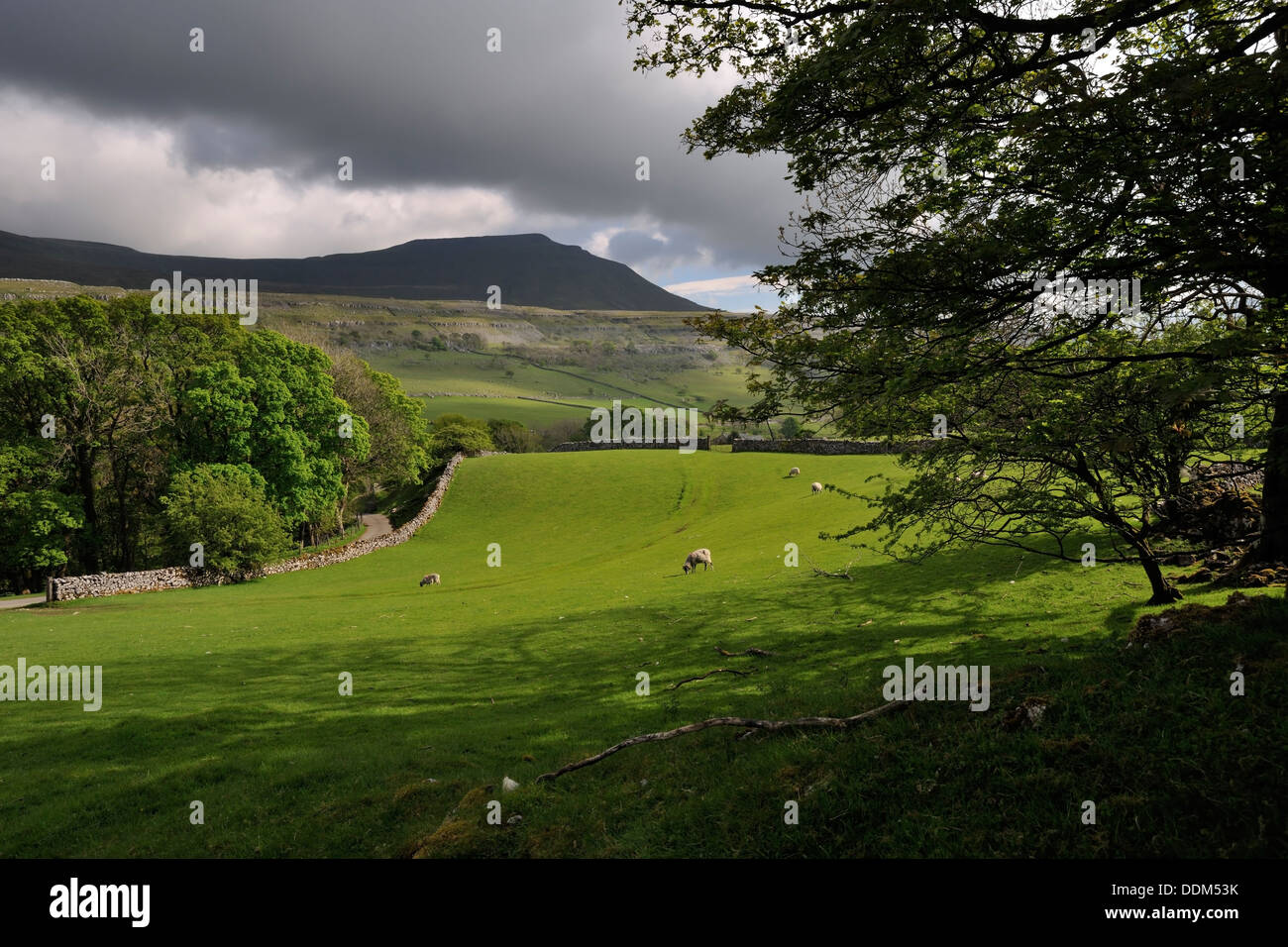 Pen-y-Gent Silhouette unter einem bedrohlichen Himmel, Chapel-Le-Dale, Yorkshire Dales National Park, England Stockfoto