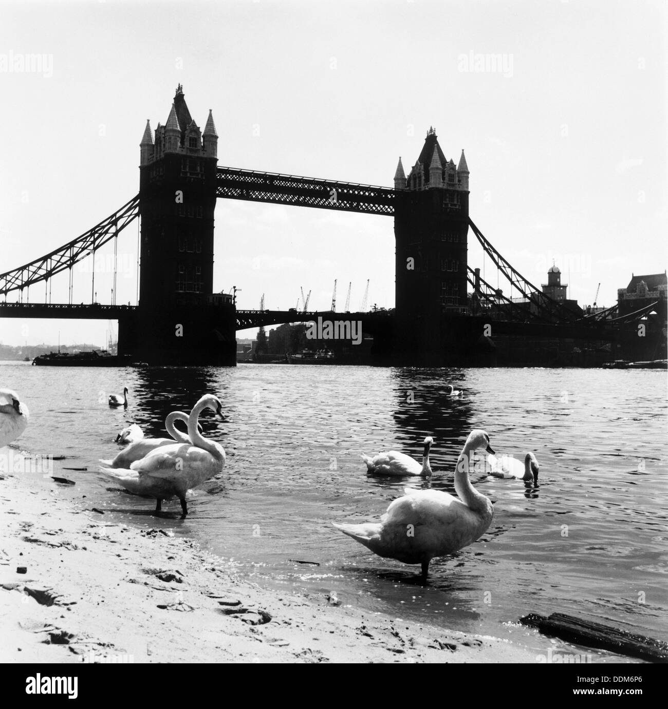 Tower Bridge, London, 1952. Künstler: Henry Grant Stockfoto