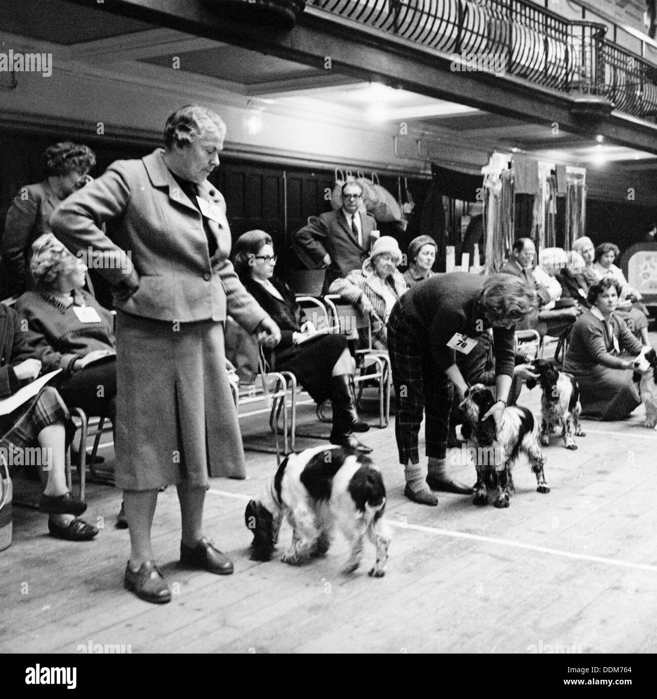 Eigentümer, die ihre Hunde bei einem London-Dog paradieren zeigen, möglicherweise Crufts, 1964. Künstler: Henry Grant Stockfoto