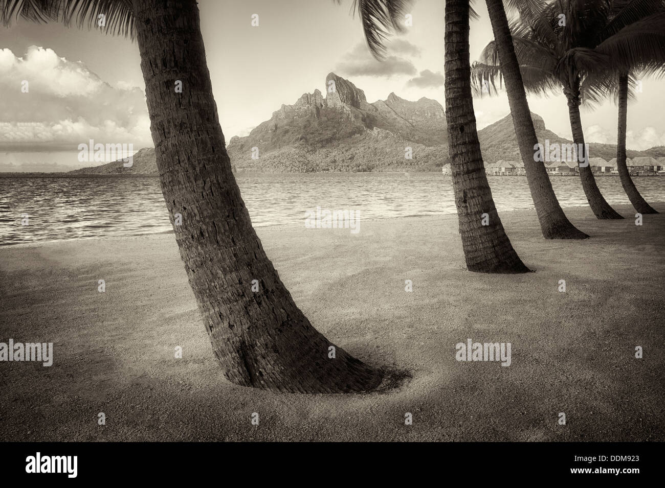 Sandstrand mit Palmen und Mt. Otemanu. Bora Bora. Französisch-Polynesien. Stockfoto