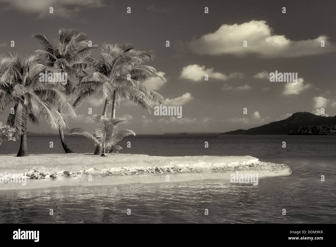 Strand mit Palmen. Bora Bora. Französisch-Polynesien. Stockfoto