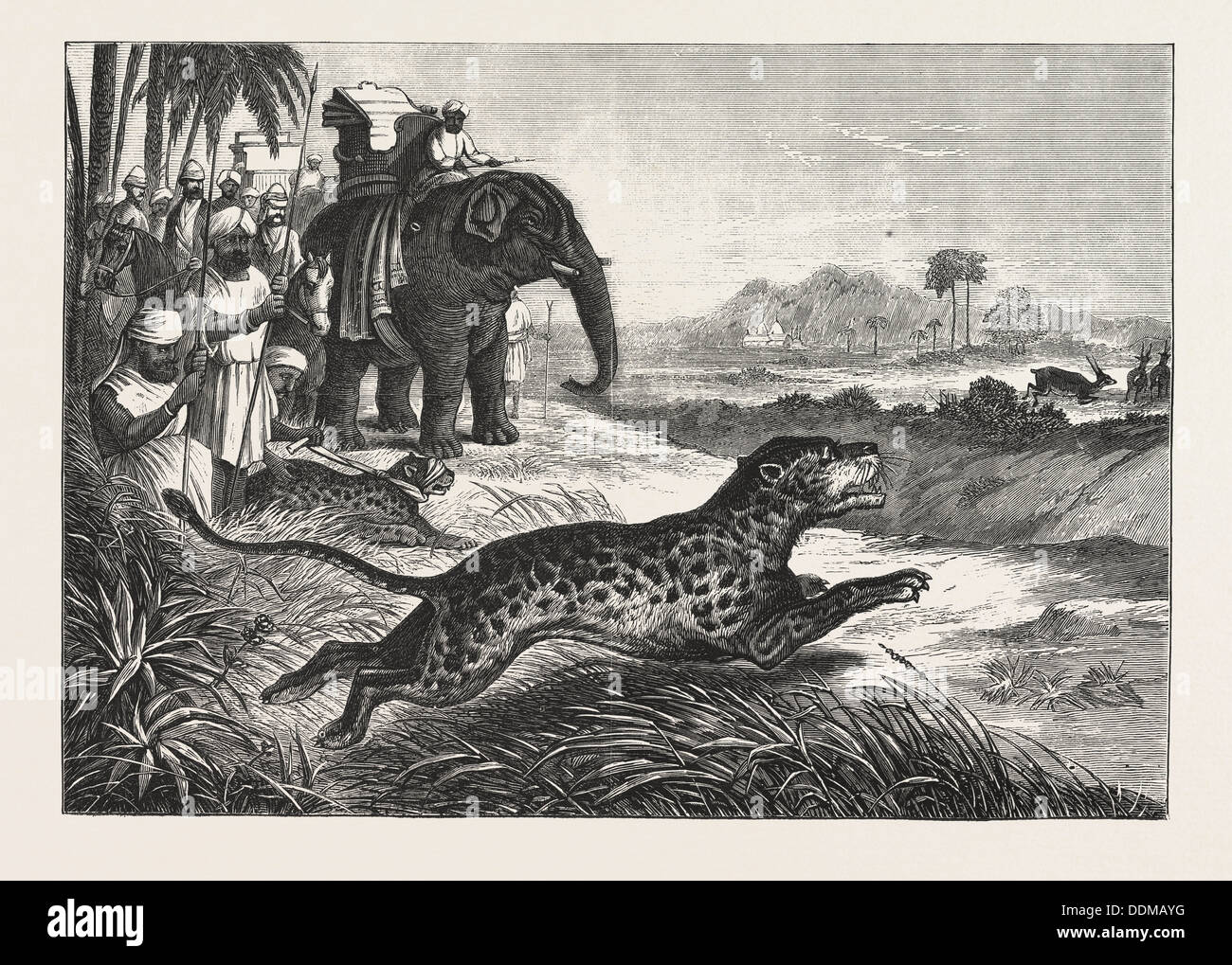 SPORT IN INDIEN, JAGEN ANTILOPEN MIT DER GEPARD, GRAVUR 1876. Antilope, Wildkatze, Raubkatze, Tier Stockfoto