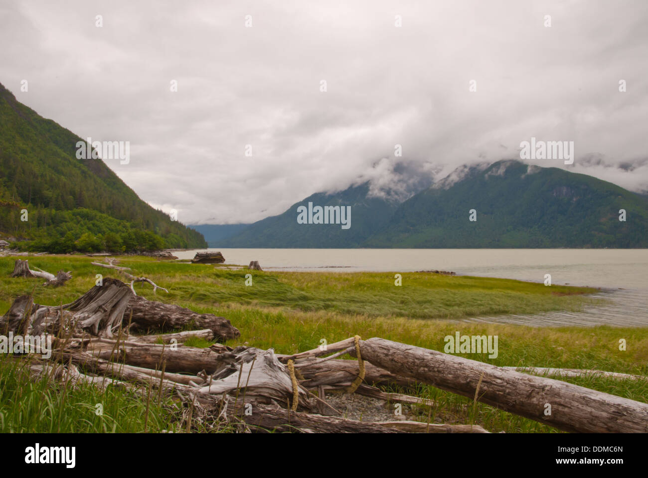 Mündung neben Bella Coola British Columbia mit Segge Wiese und Treibholz und Protokolle Stockfoto