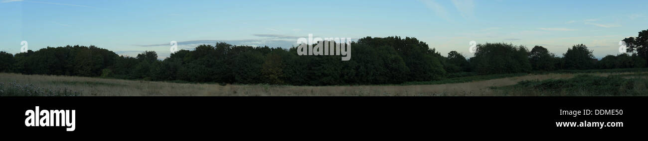 warmen klaren blauen Himmel Bäume Wald Felder Wolken Stockfoto