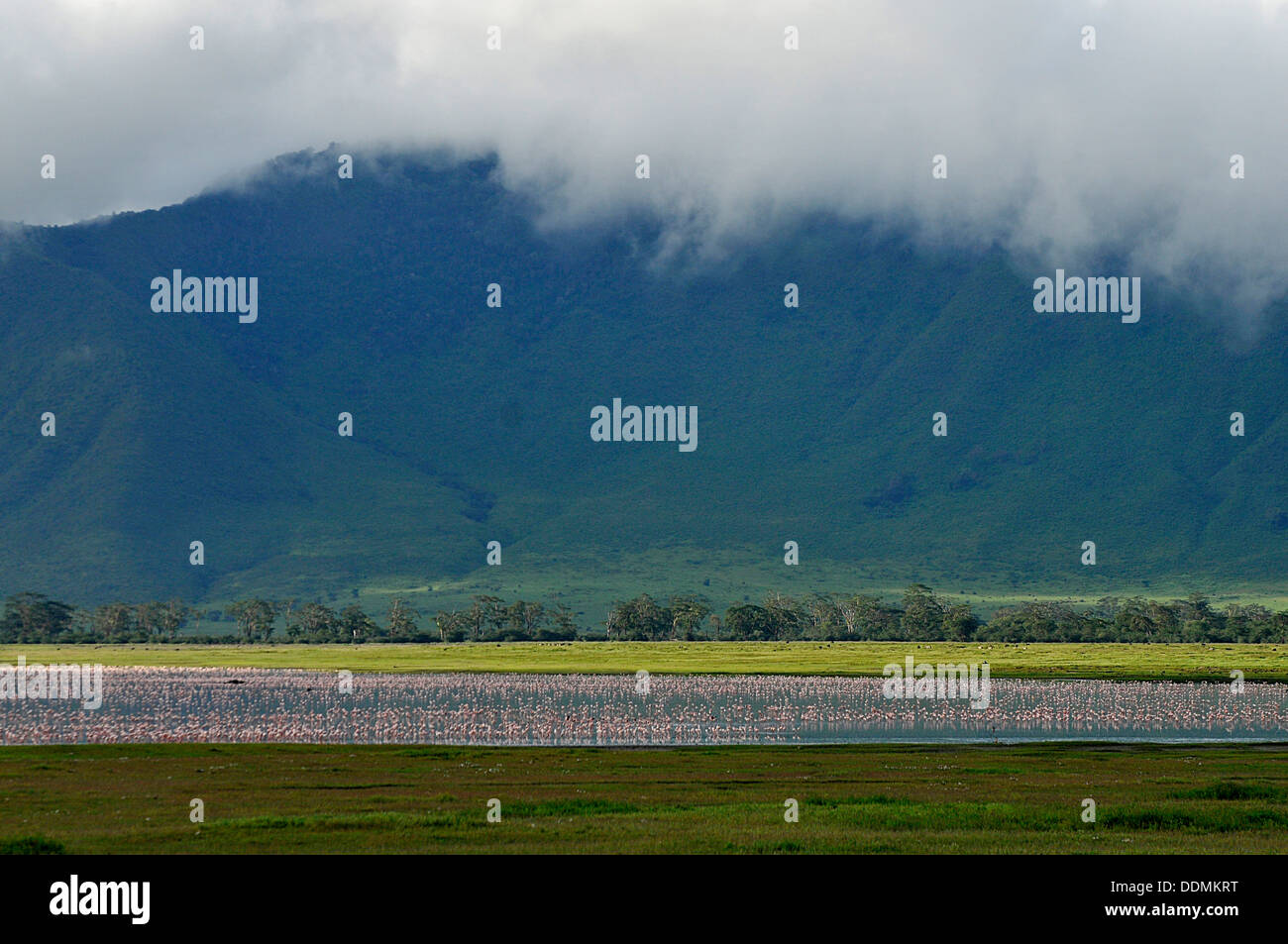 Wolken über Wasserloch in Afrika Tansania Sammlung Stockfoto