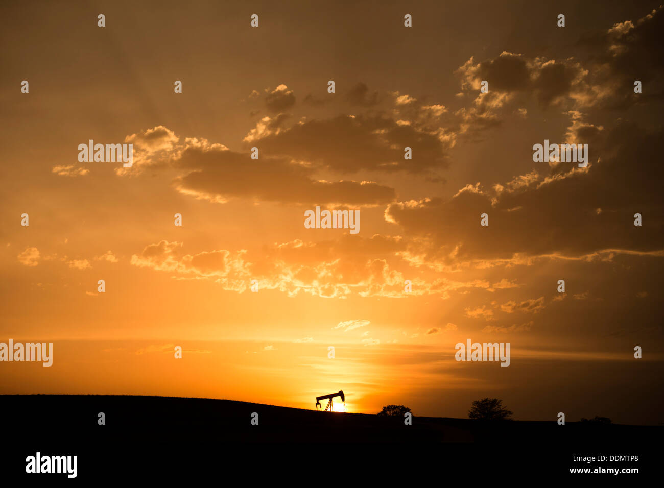 Sonnenuntergang Silhouette eines Kürbicks auf den hohen Ebenen klein im Rahmen Stockfoto