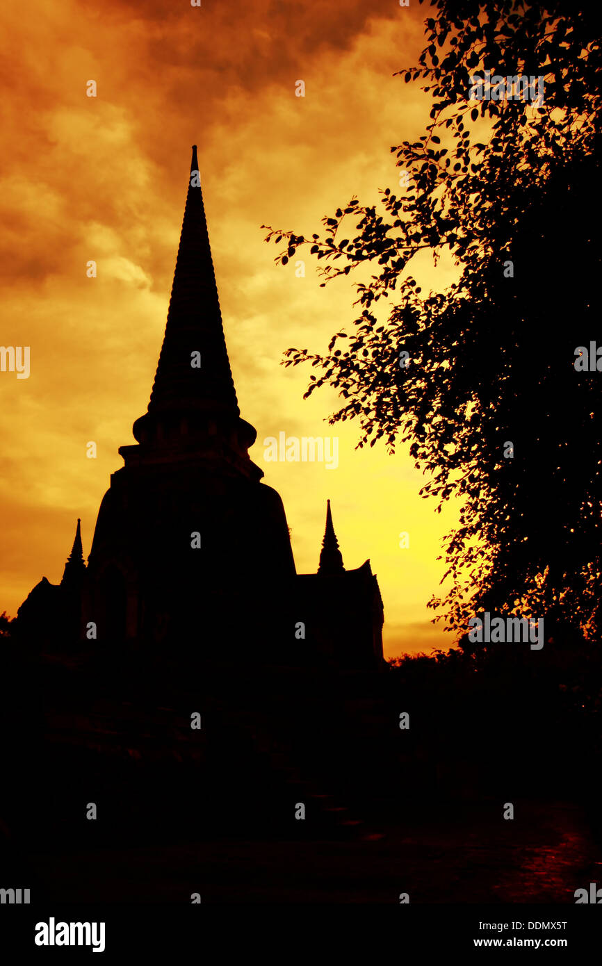 Pagode am Ayutthata Silhouette mit warmen Klangfarbe Stockfoto