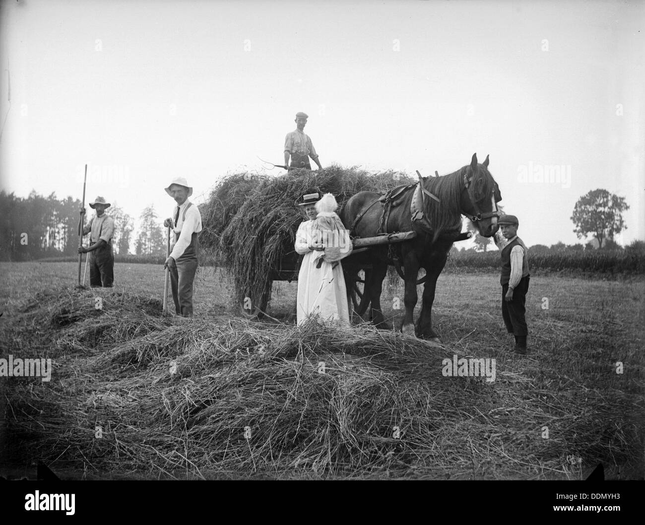 Landarbeiter, Warden Hill, Northamptonshire, 1902. Künstler: Newton Stockfoto