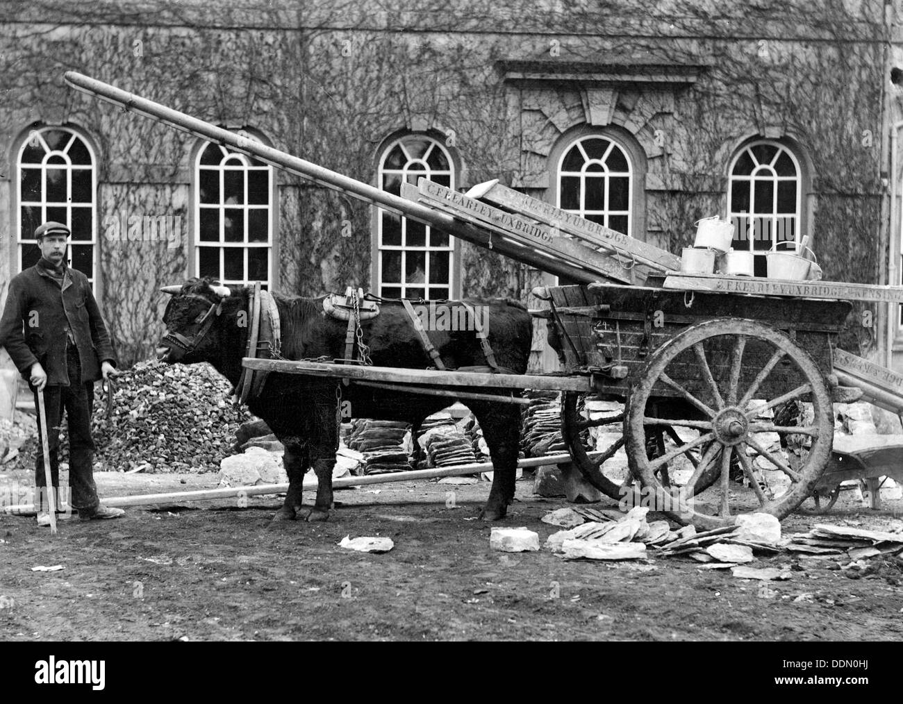 Workman posiert vor einem Haus mit einem Ochsenkarren, Kingston Lisle, Oxfordshire, c1860-c1922. Künstler: Henry Verspottung Stockfoto