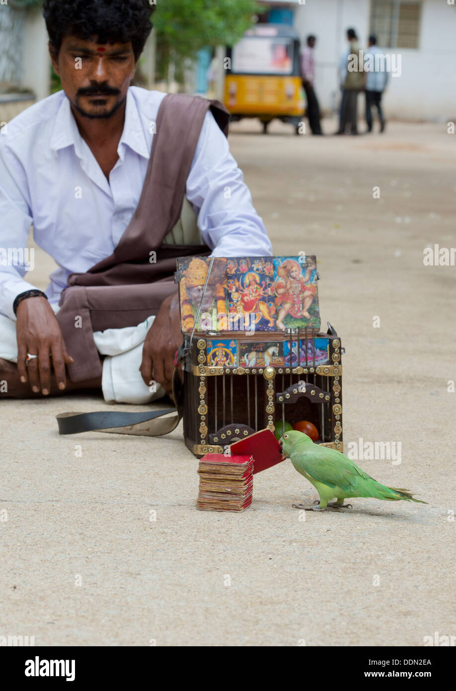 Indische Straße Astrologe / Wahrsagerin mit Papagei. Andhra Pradesh, Indien Stockfoto
